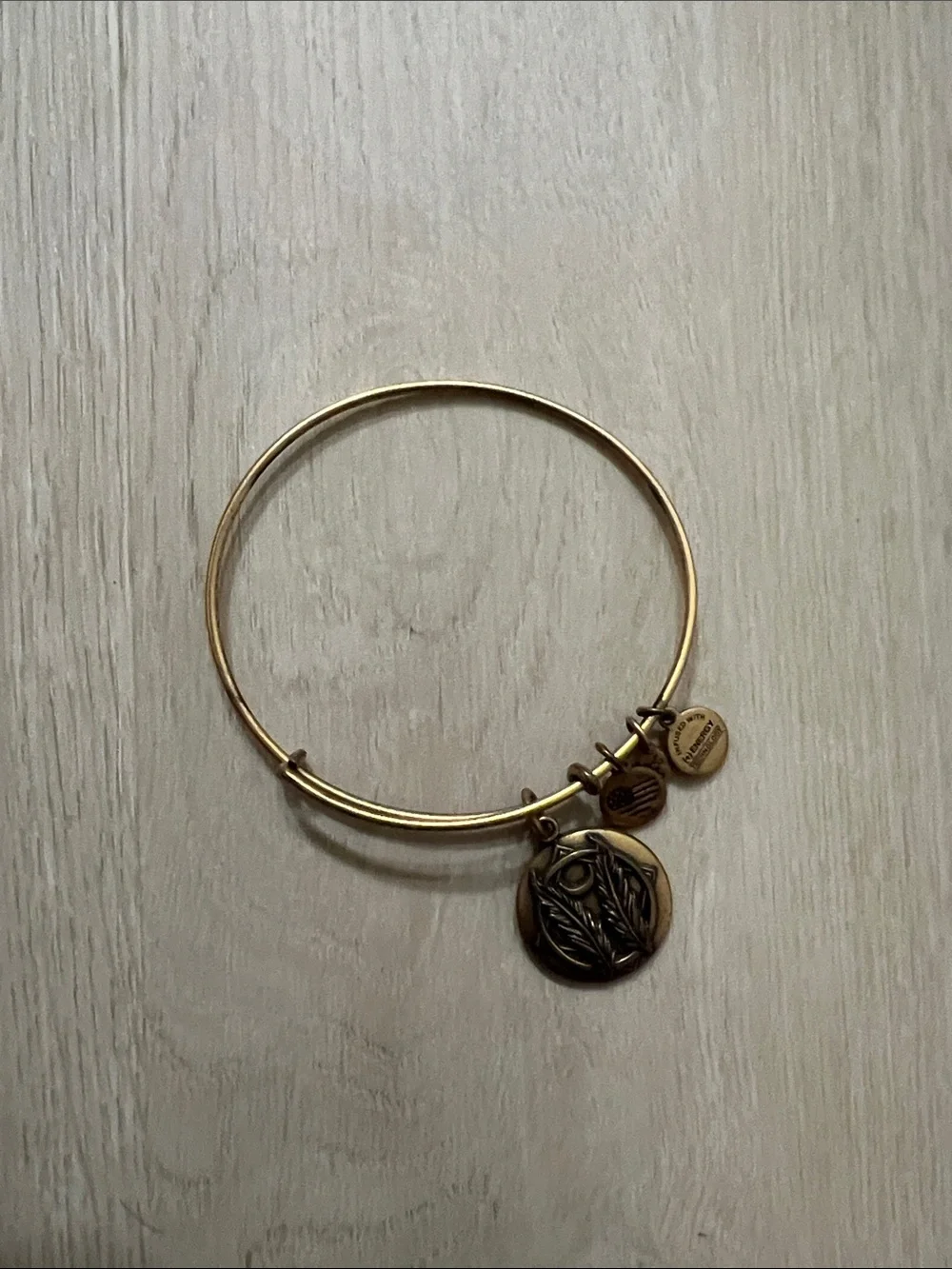 Alex and Ani Godspeed Medallion Charm Bangle